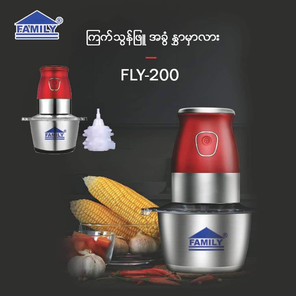 Family Meat Grinder FLY200